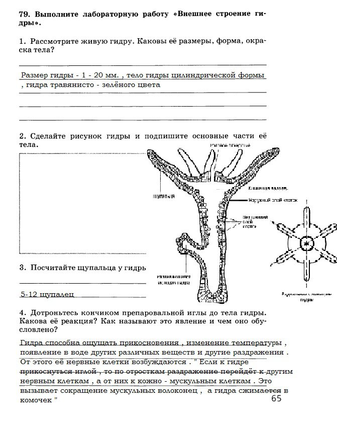 Кракен kr2web in сайт официальный