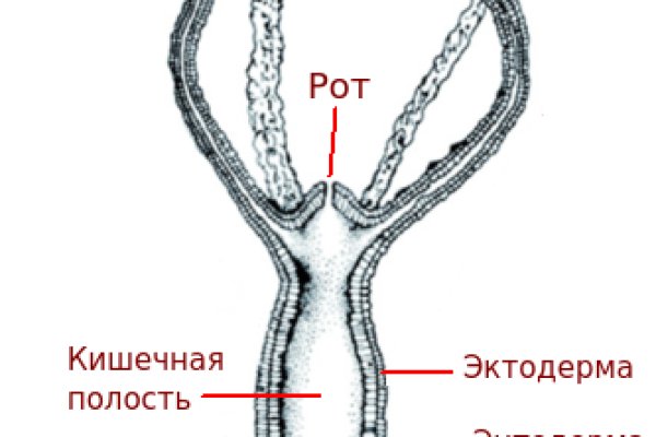 Кракен официальный сайт онион